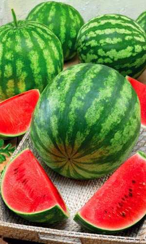 Арбуз ФАВОРИТ