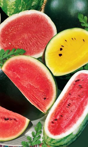 Арбуз СМЕСЬ СУПЕРРАННИХ СОРТОВ