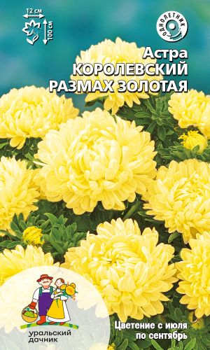 Астра КОРОЛЕВСКИЙ РАЗМАХ ЗОЛОТАЯ
