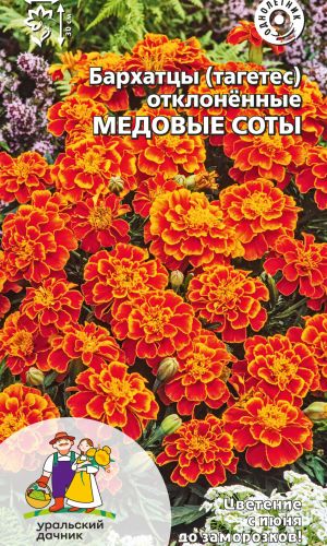 Бархатцы МЕДОВЫЕ СОТЫ