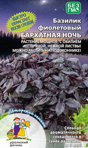 Базилик БАРХАТНАЯ НОЧЬ