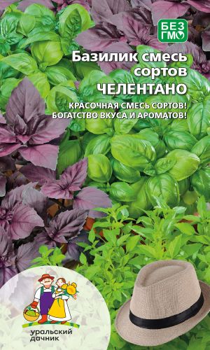 Базилик ЧЕЛЕНТАНО