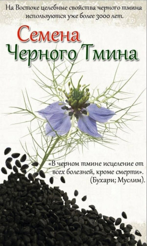 Чёрный тмин (нигелла) ДИВА