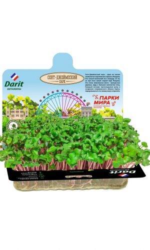 DARIT (ДАРИТ) НАБОР РЕДИС