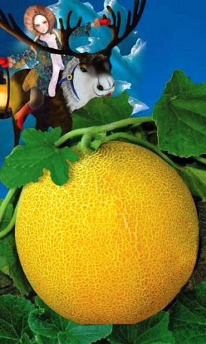 Дыня ГЕРДА F1