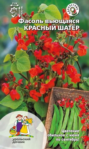 Фасоль вьющаяся КРАСНЫЙ ШАТЁР