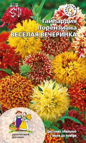 Гайлардия лорензиана ВЕСЁЛАЯ ВЕЧЕРИНКА