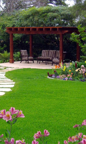 Газон ВЕСЁЛЫЙ КАРЛИК карликовый 20 г