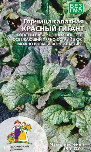 Горчица салатная КРАСНЫЙ ГИГАНТ