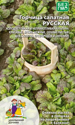 Горчица салатная РУССКАЯ