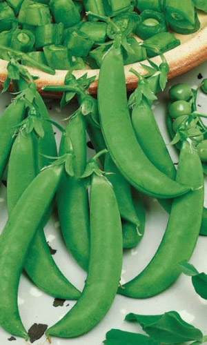 Горох АМБРОЗИЯ