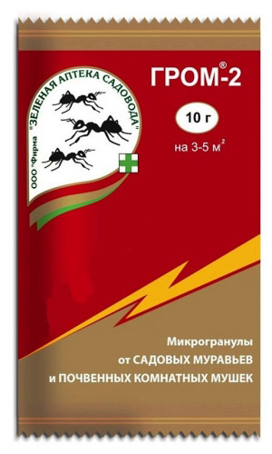 ГРОМ-2 10 г