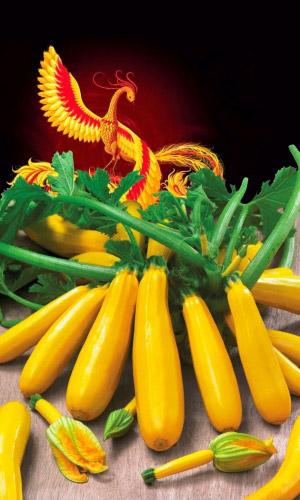 Кабачок ЖАР ПТИЦА F1