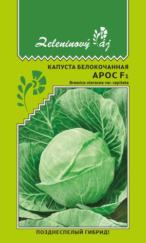 Капуста АРОС F1 &mdash; Позднеспелый гибрид!