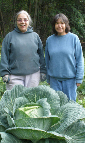 Капуста БЕЗРАЗМЕРНАЯ