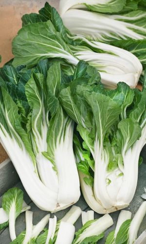 Капуста китайская АЛЁНУШКА F1