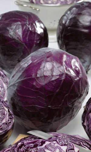 Капуста краснокочанная РУБИН МС