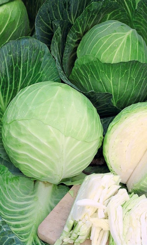 Капуста ПАРУС