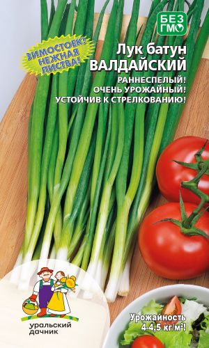 Лук батун ВАЛДАЙСКИЙ