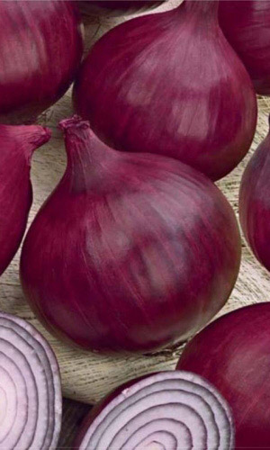 Лук репчатый ЧЁРНЫЙ ПРИНЦ