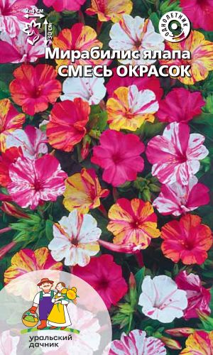 Мирабилис ялапа СМЕСЬ ОКРАСОК