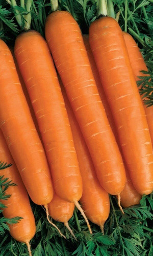 Морковь ДЕТСКАЯ СЛАДКАЯ (ГЕЛЬ ДРАЖЕ!)