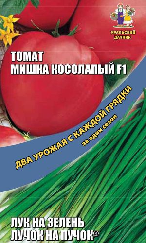 Набор овощей Лук на зелень + Томат