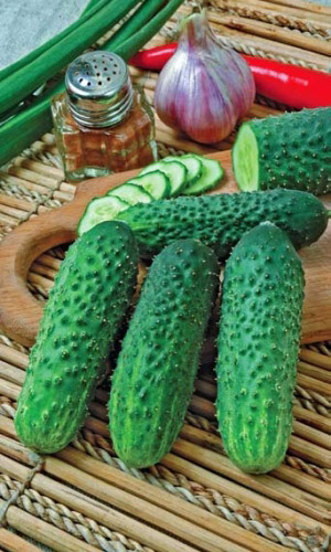 Огурец АРЛЕКИНО F1