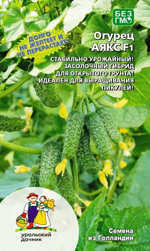 Огурец АЯКС F1