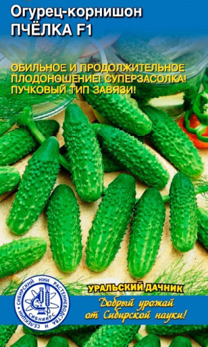 Огурец ПЧЁЛКА F1