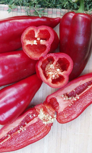 Перец ФАКИР