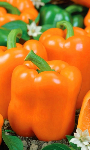 Перец МЕГАТОН ОРАНЖЕВЫЙ F1