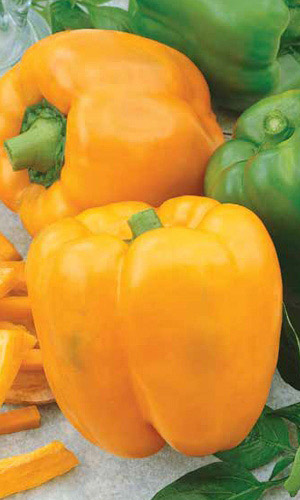 Перец ЗОЛОТОЕ ЧУДО