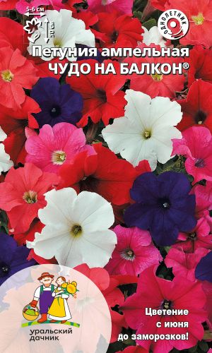 Петуния ЧУДО НА БАЛКОН