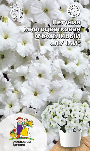 Петуния СЧАСТЛИВЫЙ СЛУЧАЙ