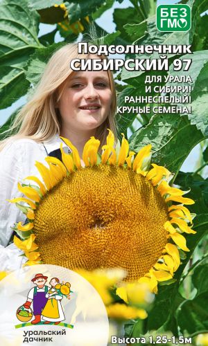 Подсолнечник СИБИРСКИЙ 97