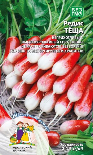 Редис ТЁЩА &mdash; Неприхотливый, высокоурожайный сорт! Не растрескивается! Без горечи! Хорош для транспортировки и хранения!