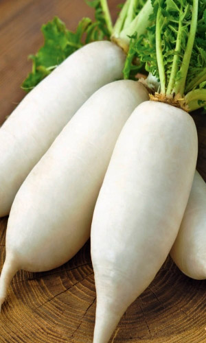 Репа КОМЕТА