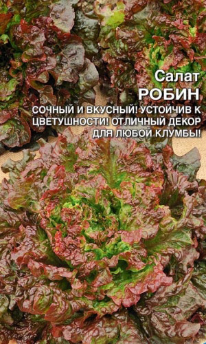 Салат РОБИН
