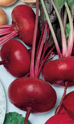 Свёкла ЕГИПЕТСКАЯ ПЛОСКАЯ