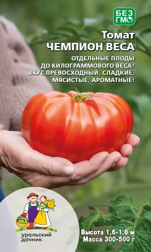 Томат ЧЕМПИОН ВЕСА — Отдельные плоды до килограммового веса! Вкус превосходный, сладкие, мясистые, ароматные!