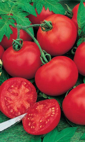 Томат ГНОМ &mdash; Холодостойкий! Ростиком хоть и мал, да урожай всегда богат! Без подвязки и пасынкования!