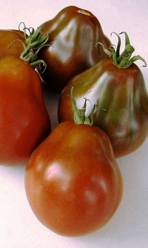 Томат СИБИРСКАЯ ГРУША ЧЁРНАЯ