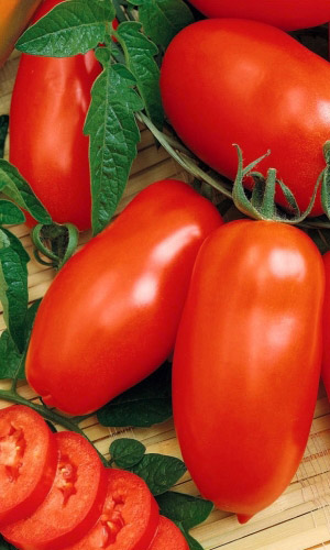 Томат ХОХЛОМСКИЕ УЗОРЫ &mdash; Уникальная лёжкость! Суперзасолка! Не подведёт в любое лето!