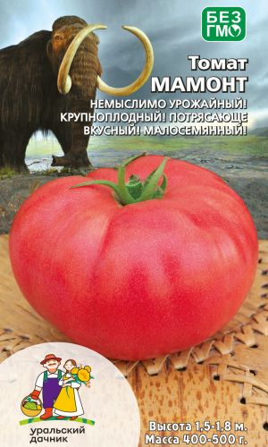 Томат МАМОНТ &mdash; Немыслимо урожайный! Крупноплодный! Потрясающе вкусный! Малосемянный!