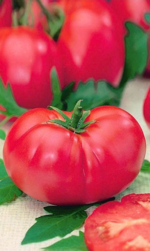 Томат МОНА ЛИЗА F1