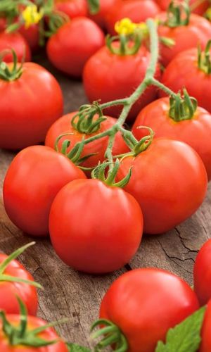 Томат НЕПАСЫНКУЮЩИЙСЯ ОКРУГЛЫЙ