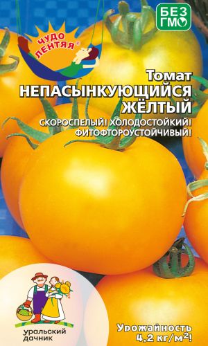 Томат НЕПАСЫНКУЮЩИЙСЯ ЖЁЛТЫЙ &mdash; Скороспелый! Не боится ни похолоданий, ни фитофторы, а главное прост в уходе и не пасынкуется!