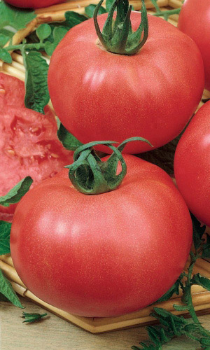 Томат САХАРНЫЕ УСТА