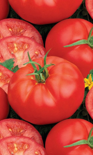 Томат СКАЗКА &mdash; Очень вкусный! Просто сказка для ленивых или начинающих садоводов! Сверхранний, можно выращивать безрассадным способом!